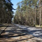 05.04.2020. Kielce. Opustoszałe miasto / Wiktor Taszłow / Radio Kielce