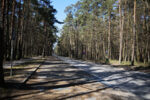 05.04.2020. Kielce. Opustoszałe miasto / Wiktor Taszłow / Radio Kielce