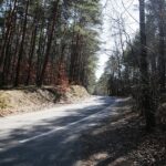 05.04.2020. Kielce. Opustoszałe miasto / Wiktor Taszłow / Radio Kielce