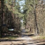 05.04.2020. Kielce. Opustoszałe miasto / Wiktor Taszłow / Radio Kielce