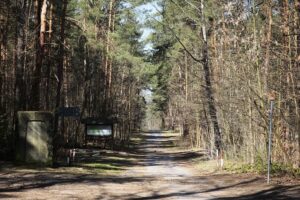 05.04.2020. Kielce. Opustoszałe miasto / Wiktor Taszłow / Radio Kielce