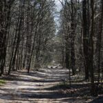 05.04.2020. Kielce. Opustoszałe miasto / Wiktor Taszłow / Radio Kielce