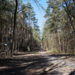 05.04.2020. Kielce. Opustoszałe miasto / Wiktor Taszłow / Radio Kielce