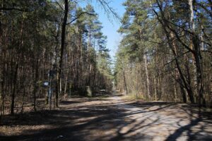 05.04.2020. Kielce. Opustoszałe miasto / Wiktor Taszłow / Radio Kielce