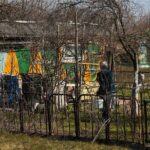 07.04.2020. Kielce. Wiosna w ogródkach działkowych / Wiktor Taszłow / Radio Kielce