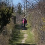 07.04.2020. Kielce. Wiosna w ogródkach działkowych / Wiktor Taszłow / Radio Kielce