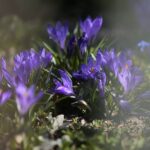 07.04.2020. Kielce. Wiosna w ogródkach działkowych / Wiktor Taszłow / Radio Kielce