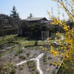 07.04.2020. Kielce. Wiosna w ogródkach działkowych / Wiktor Taszłow / Radio Kielce