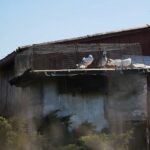 07.04.2020. Kielce. Wiosna w ogródkach działkowych / Wiktor Taszłow / Radio Kielce