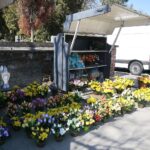 07.04.2020. Kielce. Cmentarz Stary / Wiktor Taszłow / Radio Kielce