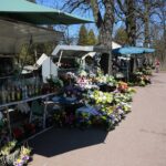 07.04.2020. Kielce. Cmentarz Stary / Wiktor Taszłow / Radio Kielce