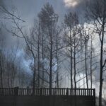 19.04.2020. Sitkówka-Nowiny. Pożar składowiska odpadów / Wiktor Taszłow / Radio Kielce