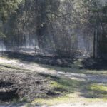 19.04.2020. Sitkówka-Nowiny. Pożar składowiska odpadów / Wiktor Taszłow / Radio Kielce