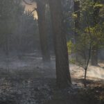 19.04.2020. Sitkówka-Nowiny. Pożar składowiska odpadów / Wiktor Taszłow / Radio Kielce