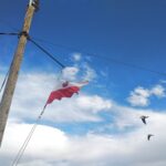 Muzyczne podróże. Ziemia Święta. Rejs po Jeziorze Galilejskim / ks. Mariusz Rozin