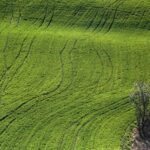 19.04.2020 Stradów. Grodzisko, pola i wąwozy / Robert Felczak / Polskie Radio Kielce SA