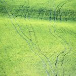 19.04.2020 Stradów. Grodzisko, pola i wąwozy / Robert Felczak / Polskie Radio Kielce SA