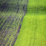 19.04.2020 Stradów. Grodzisko, pola i wąwozy / Robert Felczak / Polskie Radio Kielce SA