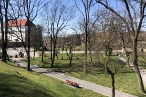 05.04.2020. Sandomierz. Puste ulice i parki / Grażyna Szlęzak-Wójcik / Radio Kielce