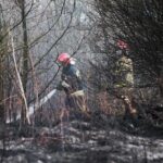 26.04.2020. Masłów. Pożar traw / Wiktor Taszłow / Radio Kielce