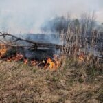 W weekend doszło do ponad 700 pożarów, prawie 300 z nich to pożary traw