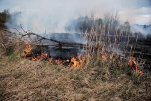 W weekend doszło do ponad 700 pożarów, prawie 300 z nich to pożary traw