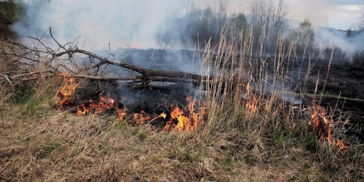 W weekend doszło do ponad 700 pożarów, prawie 300 z nich to pożary traw