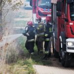 26.04.2020. Masłów. Pożar traw / Wiktor Taszłow / Radio Kielce