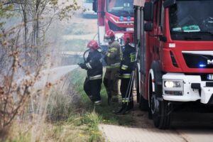 26.04.2020. Masłów. Pożar traw / Wiktor Taszłow / Radio Kielce