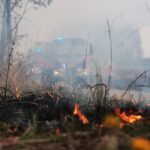 26.04.2020. Masłów. Pożar traw / Wiktor Taszłow / Radio Kielce