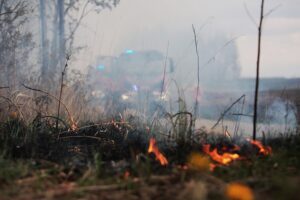 26.04.2020. Masłów. Pożar traw / Wiktor Taszłow / Radio Kielce