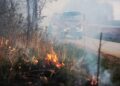 Mnóstwo pożarów traw w regionie. Większość to podpalenia