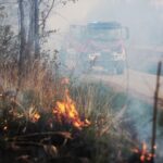 Mnóstwo pożarów traw w regionie. Większość to podpalenia