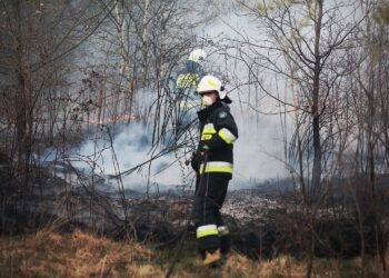 RADIO OLSZTYN. Podczas gaszenia pożaru poszycia lasu strażacy znaleźli ciało mężczyzny