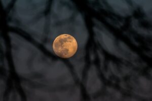 Pełnia Księżyca / Fot. Wiktor Taszłow - Radio Kielce