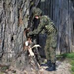 Saperzy zabezpieczyli pocisk artyleryjski, który tkwił w drzewie / Picasa / 31. Patrol Saperski CPdMZ