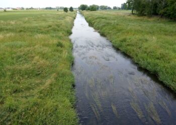 RADIO OPOLE. Pomysł na walkę z suszą, ale i na turystykę. Baborów chce zainwestować w gospodarkę retencyjną - Radio Kielce