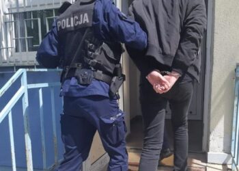 Sprawcy znieważenia dwóch pomników w Toruniu usłyszeli prokuratorskie zarzuty / Policja