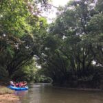 Kostaryka / Majka Szura