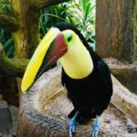 Kostaryka / Grażyna Woźniczka i Majka Szura