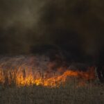 23.04.2020. Pożar w Biebrzańskim Parku Narodowym / Paweł Wądołowski / Radio Białystok