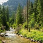 Piotr Korczak / Radio Kraków