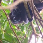 Kostaryka / Grażyna Woźniczka i Majka Szura