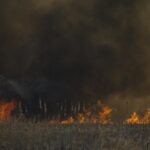 23.04.2020. Pożar w Biebrzańskim Parku Narodowym / Paweł Wądołowski / Radio Białystok