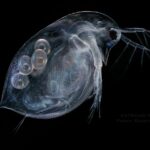 30.05.2020 Ekstremalna fotografia / Paweł Błachowicz