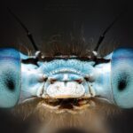 30.05.2020 Ekstremalna fotografia / Paweł Błachowicz