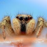 30.05.2020 Ekstremalna fotografia / Paweł Błachowicz