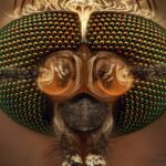 30.05.2020 Ekstremalna fotografia / Paweł Błachowicz