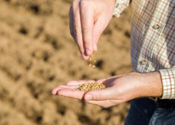 MAKSIMS_LIENE / Radio Białystok