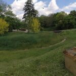 19.05.2020 Sandomierz. Rój pszczół na wzgórzu zamkowym / Muzeum Okręgowe w Sandomierzu